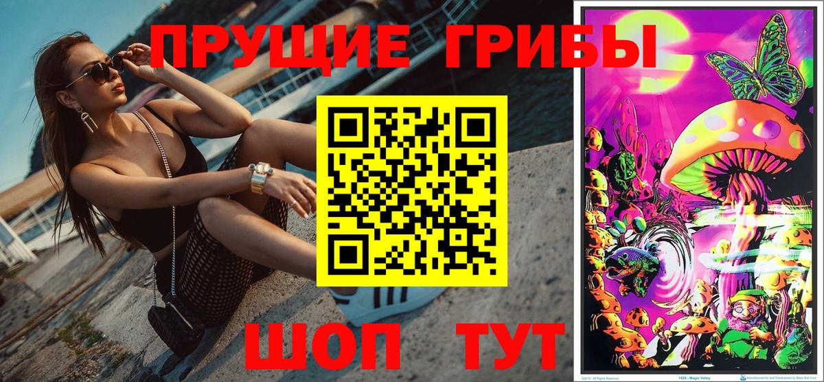 Псилоцибиновые грибы мицелий Дубна