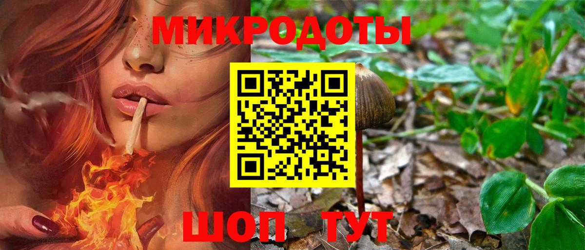 Псилоцибиновые грибы Cubensis  Галлюциногенные грибы мухоморы  Вход с VPN  Дубна 